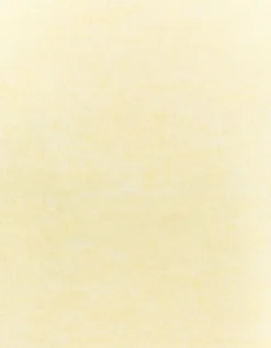 Maglione Corto Basico Giallo^Tally Weijl Shop